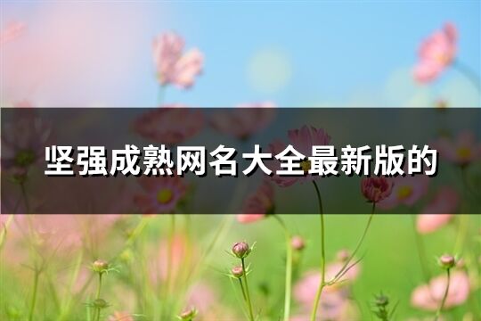 坚强成熟网名大全最新版的(共201个)