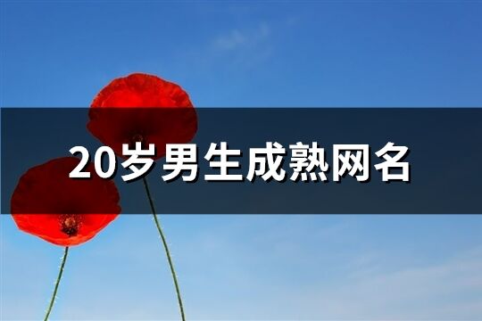 20岁男生成熟网名(精选62个)