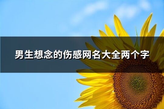 男生想念的伤感网名大全两个字(精选112个)