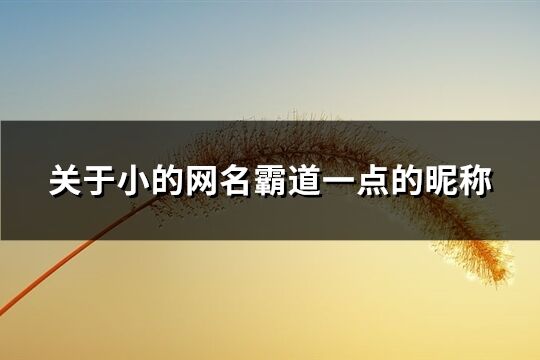 关于小的网名霸道一点的昵称(144个)