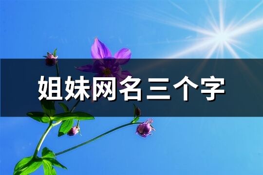 姐妹网名三个字(113个)