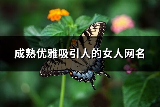 成熟优雅吸引人的女人网名(精选164个)