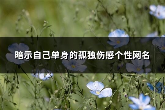 暗示自己单身的孤独伤感个性网名(103个)