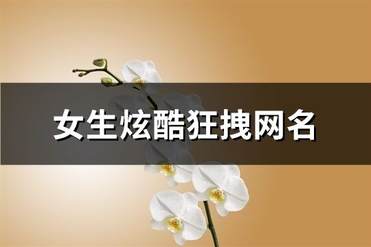 女生炫酷狂拽网名(精选229个)