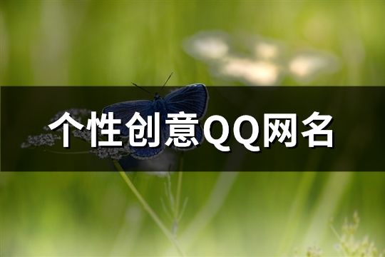 个性创意QQ网名(共102个)