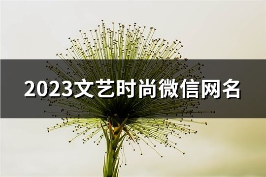 2023文艺时尚微信网名(共146个)