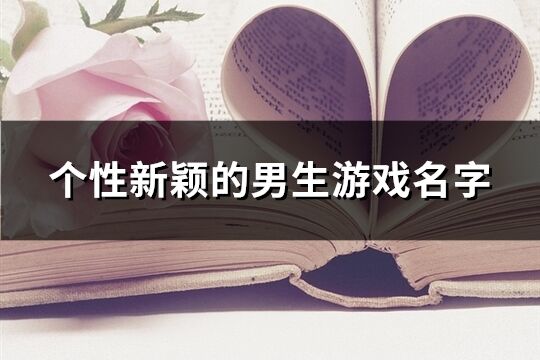 个性新颖的男生游戏名字(145个)