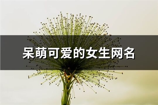 呆萌可爱的女生网名(75个)