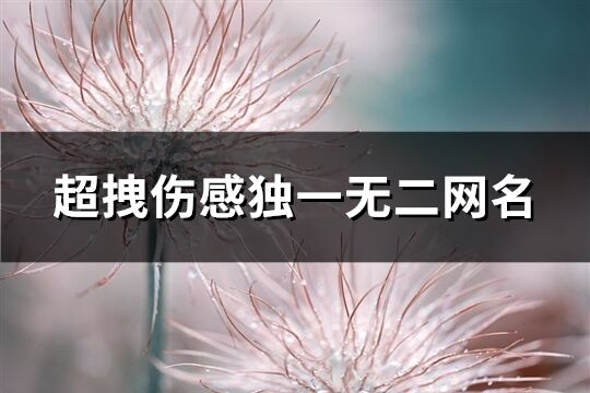 超拽伤感独一无二网名(170个)