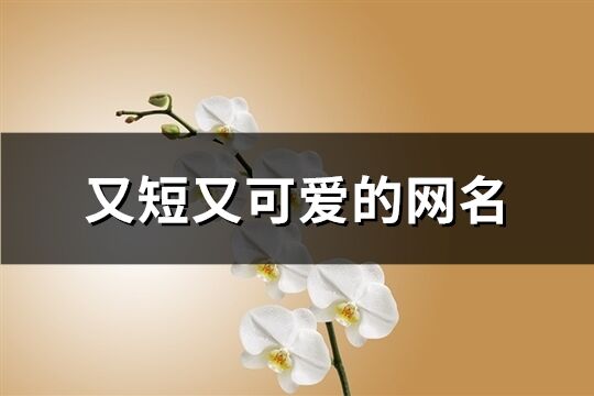 又短又可爱的网名(161个)