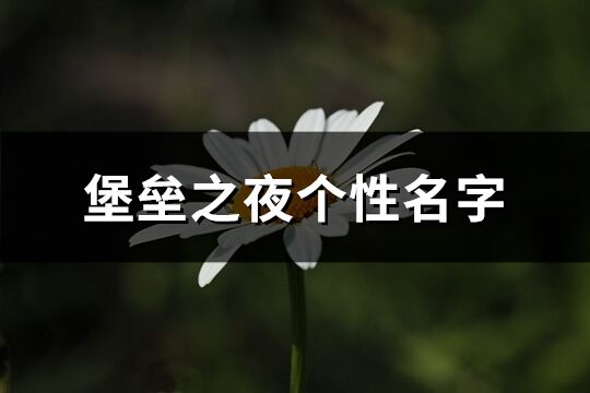 堡垒之夜个性名字(精选171个)