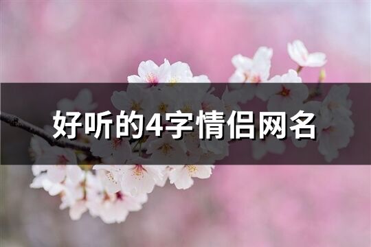 好听的4字情侣网名(138个)