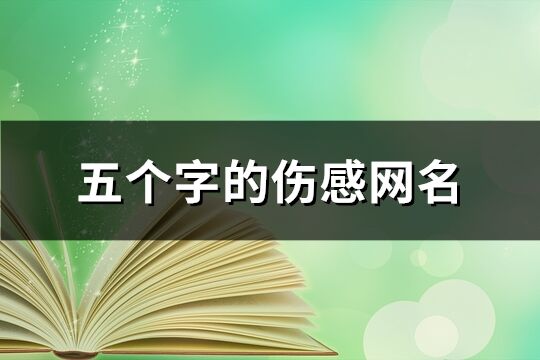 五个字的伤感网名(精选258个)