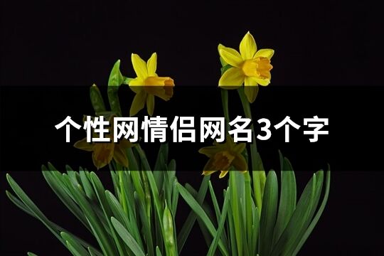 个性网情侣网名3个字(精选115个)