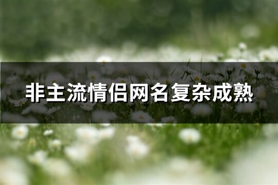 非主流情侣网名复杂成熟(共91个)