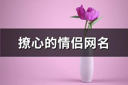 撩心的情侣网名(共137个)