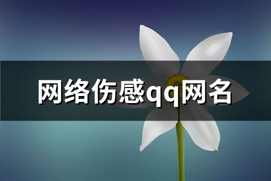 网络伤感qq网名(精选101个)