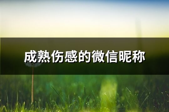 成熟伤感的微信昵称(精选295个)