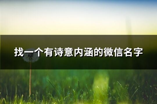 找一个有诗意内涵的微信名字(166个)