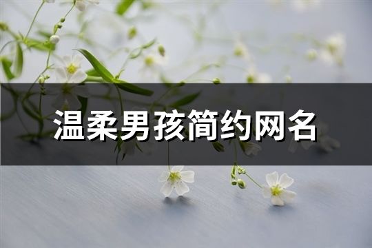 温柔男孩简约网名(145个)