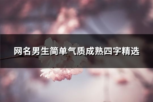 网名男生简单气质成熟四字精选(175个)