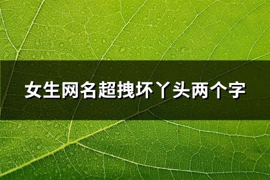 女生网名超拽坏丫头两个字(143个)