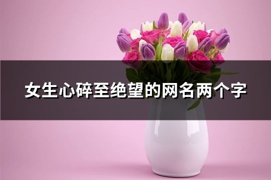 女生心碎至绝望的网名两个字(共197个)