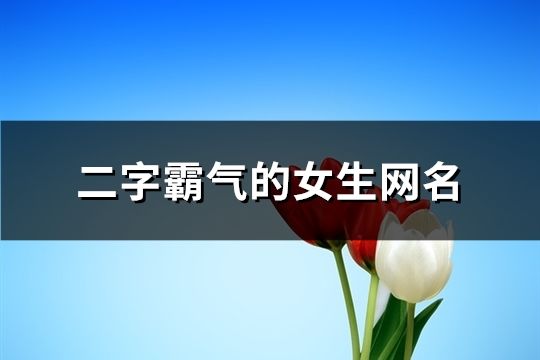 二字霸气的女生网名(140个)