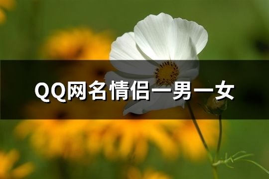 QQ网名情侣一男一女(128个)