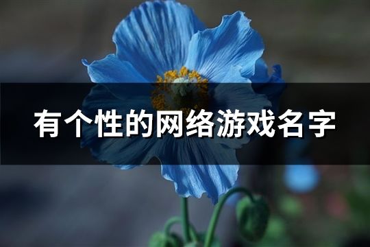 有个性的网络游戏名字(93个)