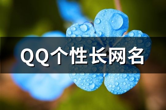 QQ个性长网名(137个)