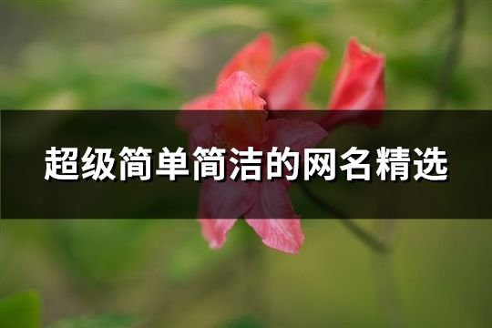 超级简单简洁的网名精选(198个)