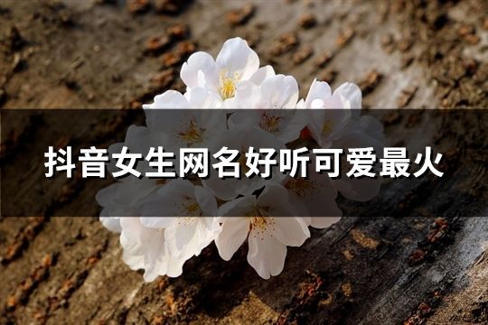 抖音女生网名好听可爱最火(116个)