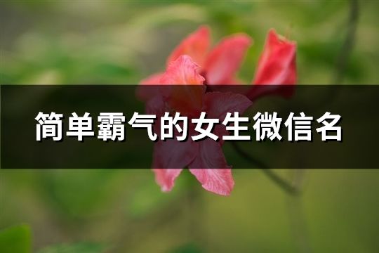 简单霸气的女生微信名(精选86个)