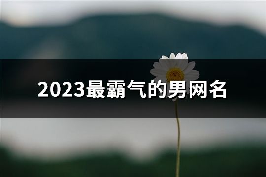 2023最霸气的男网名(共63个)