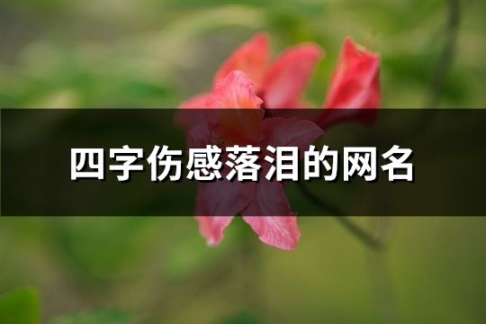 四字伤感落泪的网名(精选63个)