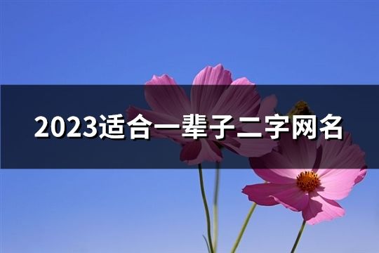 2023适合一辈子二字网名(共121个)