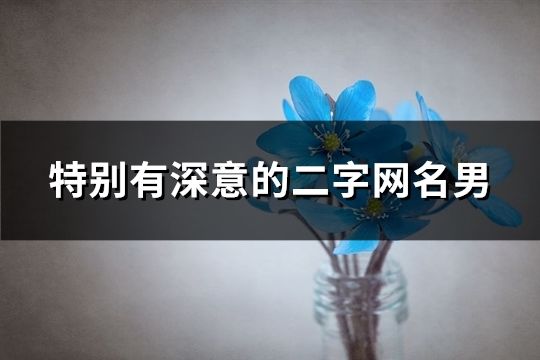 特别有深意的二字网名男(精选173个)