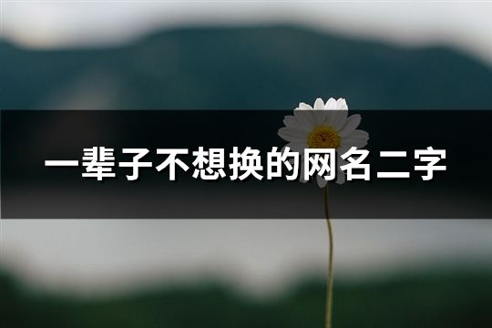 一辈子不想换的网名二字(共102个)