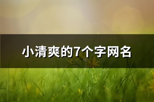 小清爽的7个字网名(200个)