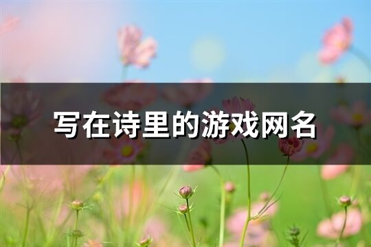 写在诗里的游戏网名(295个)