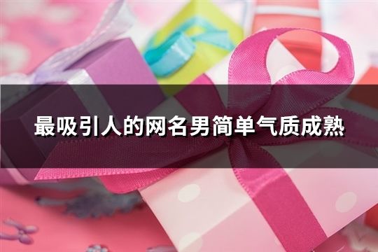 最吸引人的网名男简单气质成熟(71个)