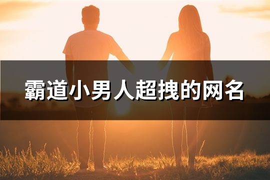 霸道小男人超拽的网名(精选150个)