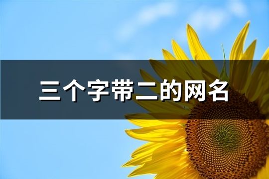 三个字带二的网名(45个)