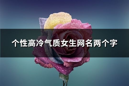 个性高冷气质女生网名两个字(共193个)