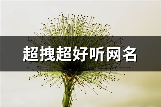 超拽超好听网名(179个)