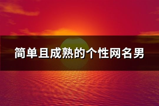 简单且成熟的个性网名男(精选183个)