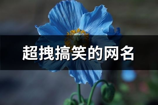 超拽搞笑的网名(92个)