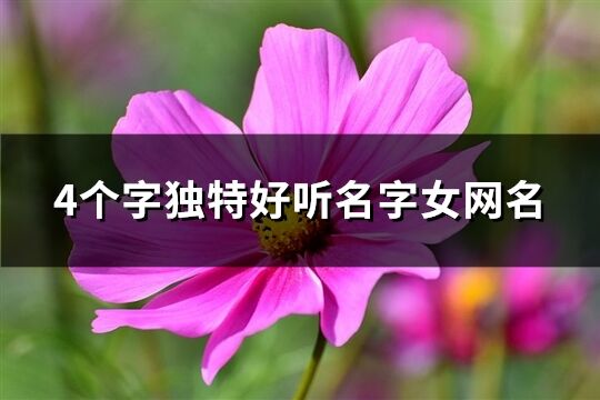 4个字独特好听名字女网名(精选142个)