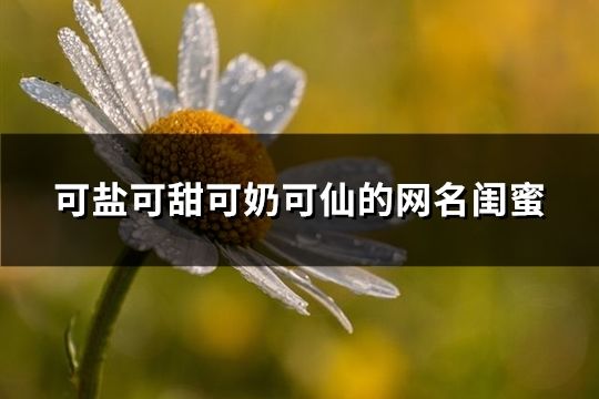 可盐可甜可奶可仙的网名闺蜜(78个)